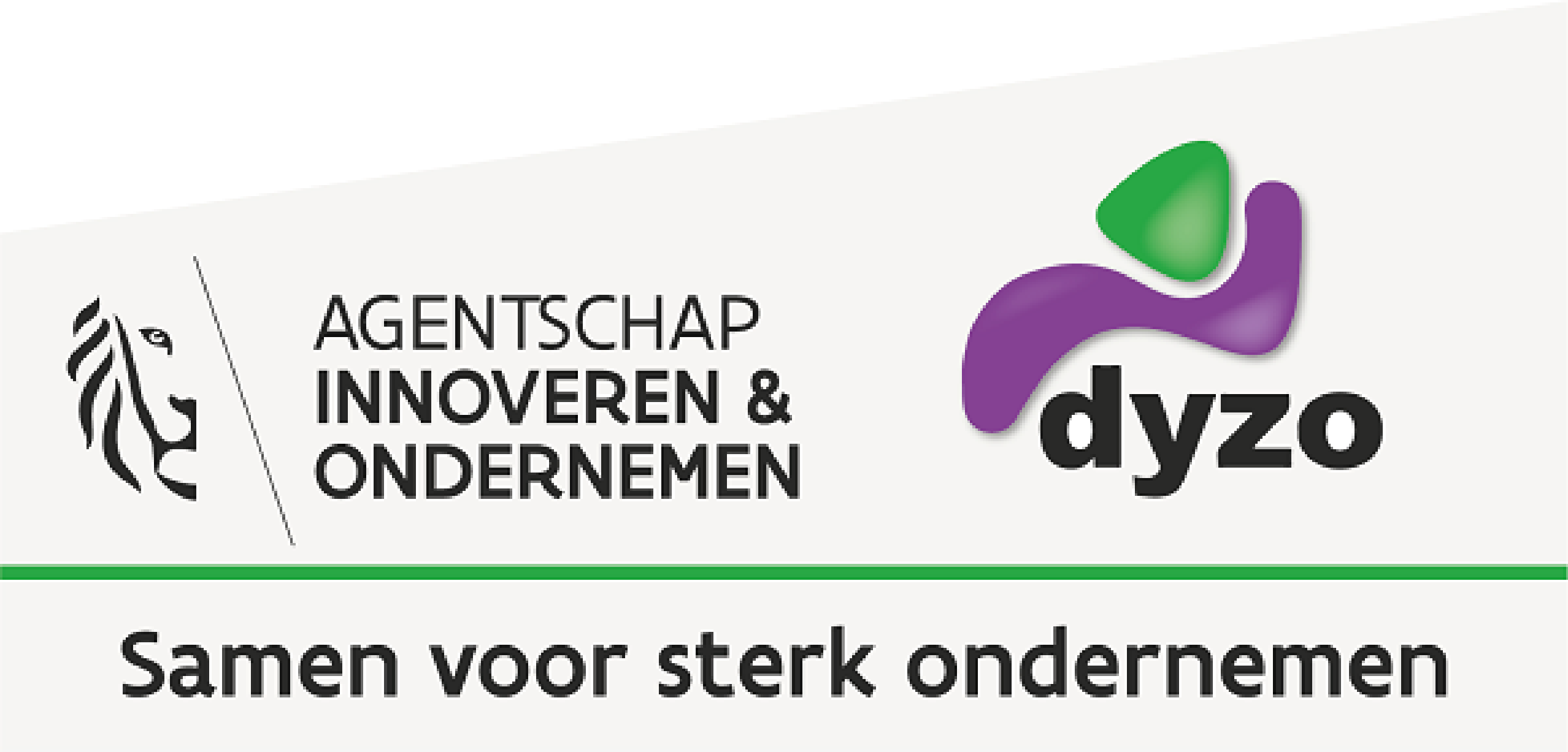 Dyzo logo